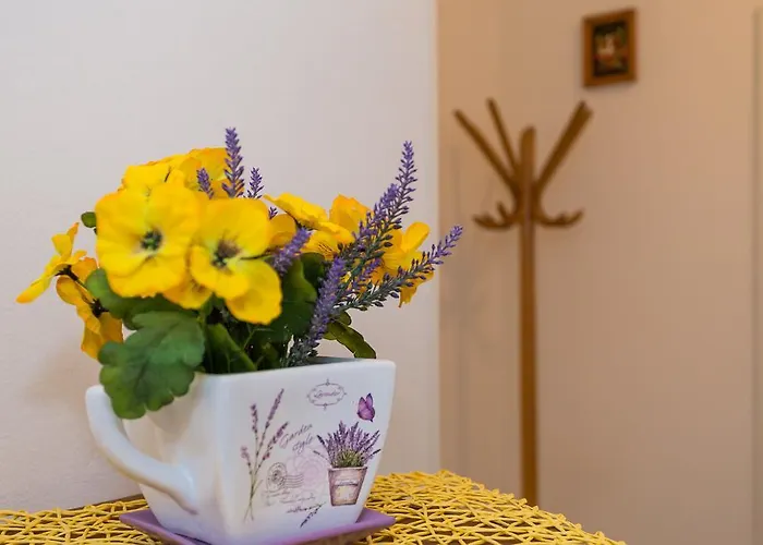 Zapadna Obala Hotel *