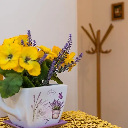 Zapadna Obala فندق *